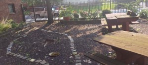 Garden Outside Science Room