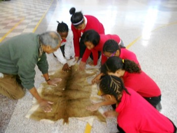 5th-Graders-Animal-Skin